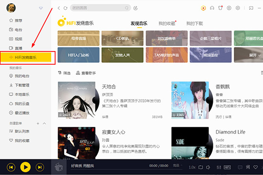 选择其中的“HIFI发烧音乐”选项
