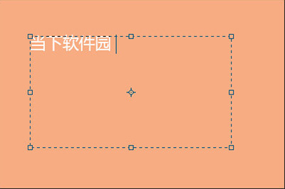 文本框中输入文字