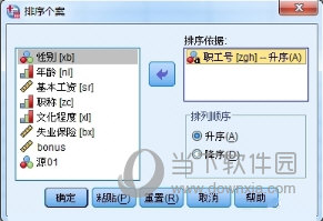 SPSS选择排序依据