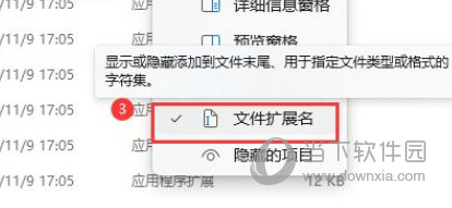 Windows11怎么显示文件扩展名