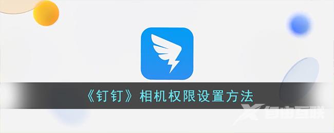 《钉钉》相机权限设置方法