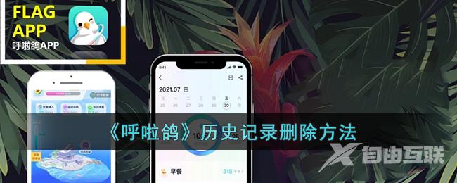 《呼啦鸽》历史记录删除方法