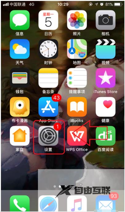 iphone15plus怎么看流量使用情况明细