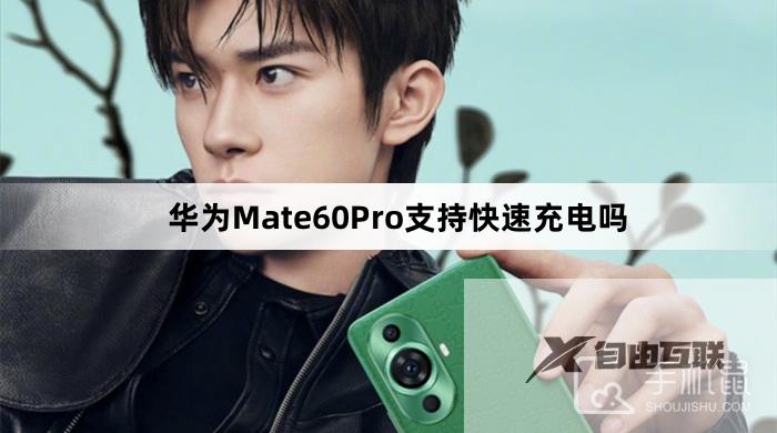 华为Mate60Pro支持快速充电吗