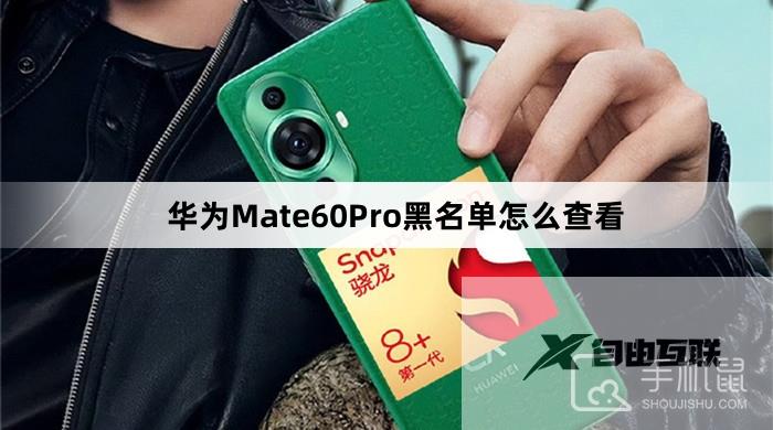 华为Mate60Pro黑名单怎么查看