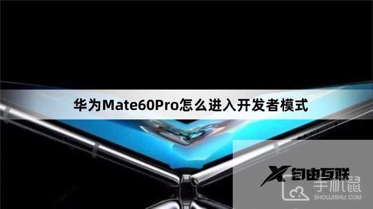 华为Mate60Pro怎么进入开发者模式