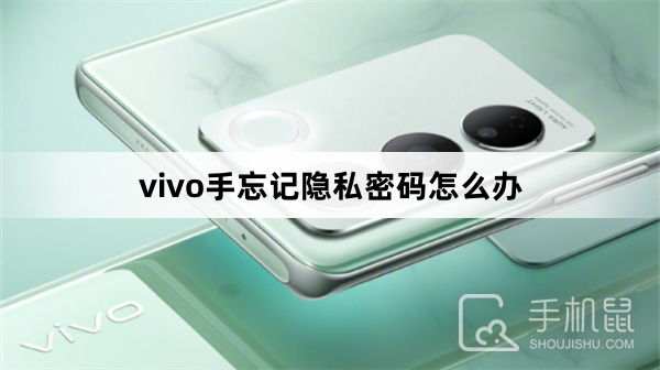 vivo手机忘记隐私密码解决方法