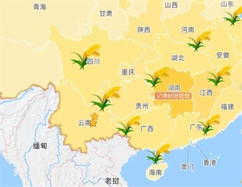 高德地图水稻怎么弄 高德地图麦穗纪念袁隆平设置方法