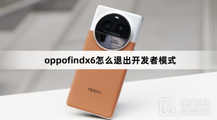 oppofindx6怎么退出开发者模式