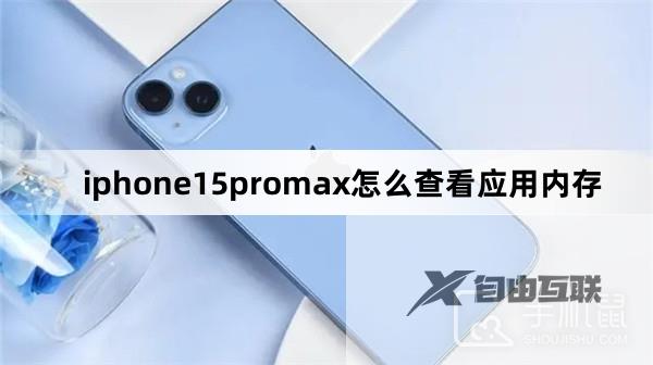 iphone15promax怎么查看应用内存