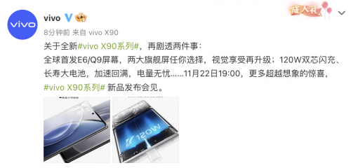 vivo X90 Pro+屏幕参数介绍
