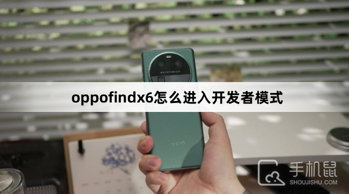 oppofindx6怎么进入开发者模式