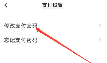 iQOO手机给钱包设置密码教程