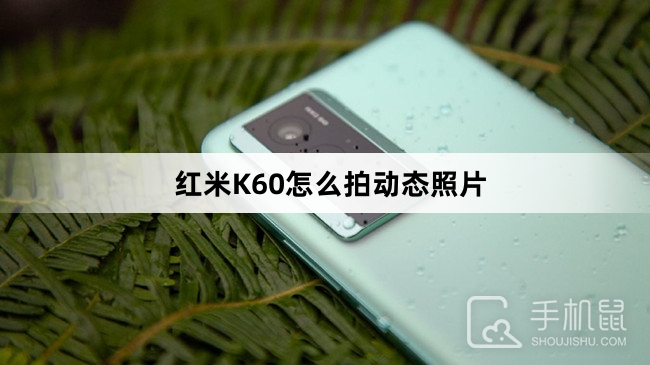 红米K60怎么拍动态照片