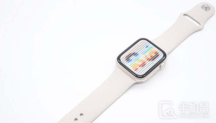 Apple Watch SE 2怎么检测是不是正品