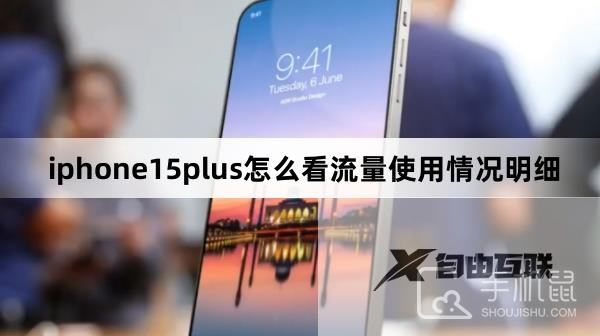 iphone15plus怎么看流量使用情况明细