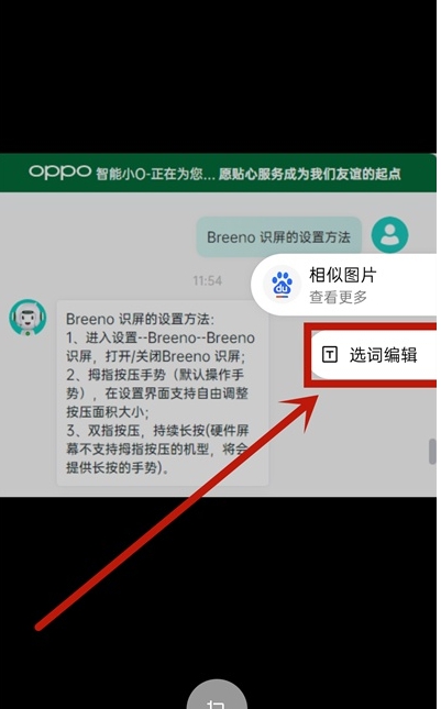 OPPOReno10Pro+怎么提取图中文字