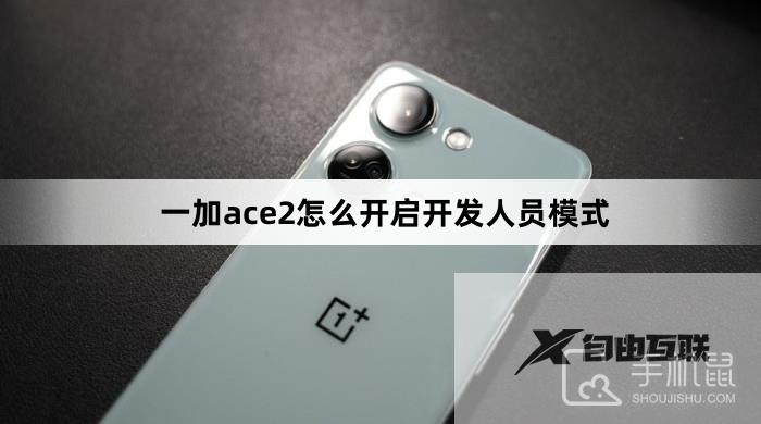 一加ace2怎么开启开发人员模式