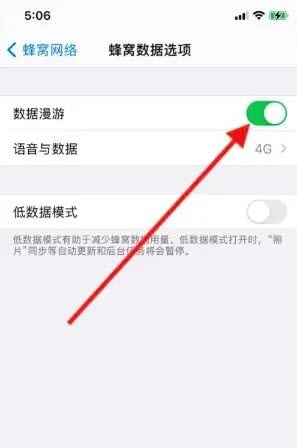 iPhone数据漫游