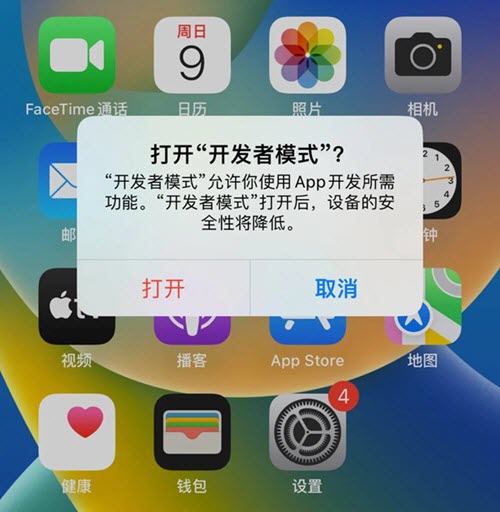 iOS 16开发者模式