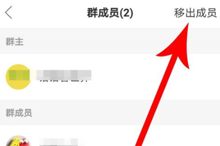 点击选择右上角的“移出成员”按钮