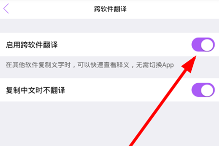 点击“启用跨软件翻译”右侧的按钮