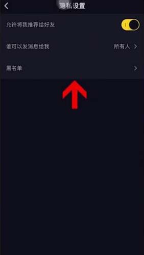 抖音隐私设置界面“黑名单”选项位置