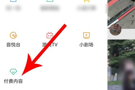找到“付费内容”的入口