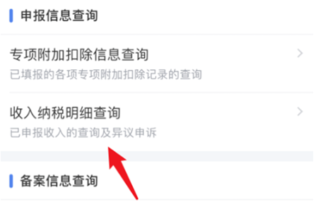 “收入纳税明细查询”这项功能