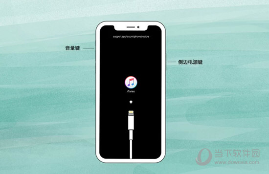 iPhone X 或后续机型