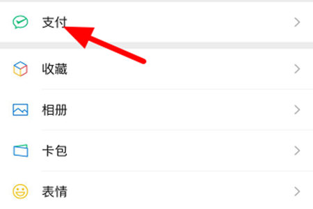点击功能列表中的“支付”