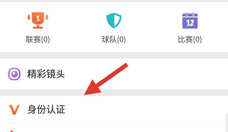 我奥篮球