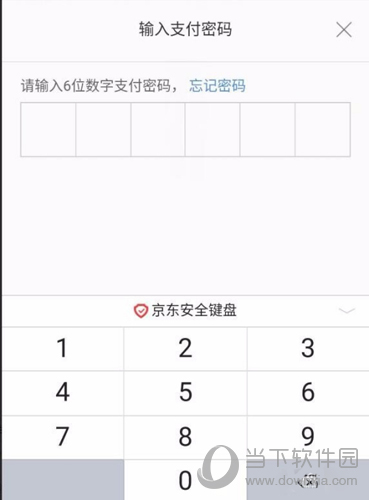 京东输入支付密码
