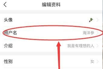 今日头条怎么修改用户名