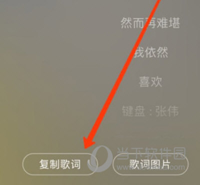 网易云音乐APP分享歌词