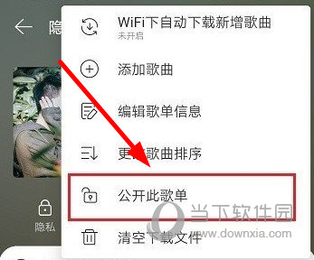 网易云音乐怎么公开隐藏歌单