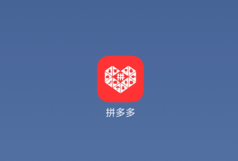 拼多多搜同款打开APP截图