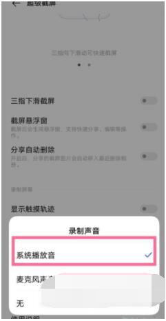 vivo手机怎么只录制手机内部声音？vivo手机只录制手机内部声音的方法截图