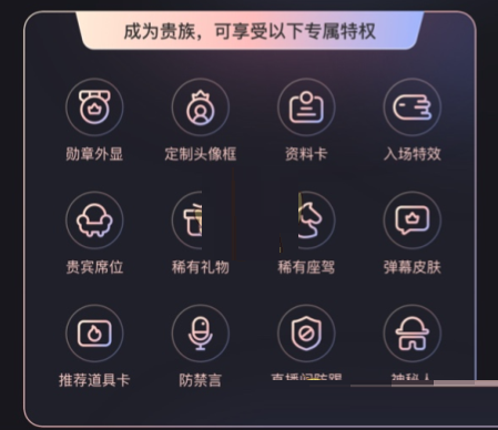 快手贵族有什么用?快手贵族专属特权介绍截图