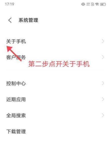 iQOO8Pro怎么进入开发者模式?iQOO8Pro进入开发者模式教程截图