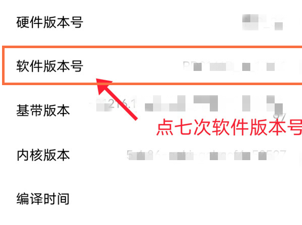 vivoX70怎么开启开发者模式?vivoX70开启开发者模式教程截图