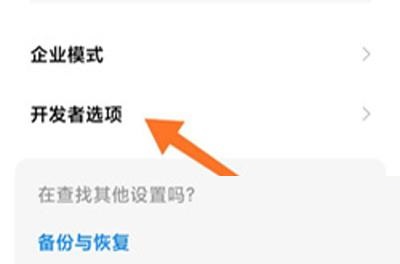 小米12开发者选项怎么打开?小米12开发者选项打开步骤分享截图