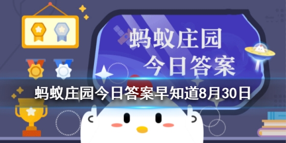 云南的特色美食饵块制作原料是什么？支付宝蚂蚁庄园8月30日答案