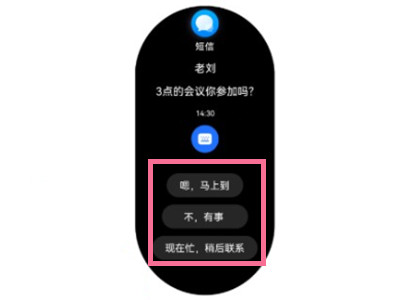 华为watch3pro怎么回复短信？华为watch3pro回复短信的方法截图