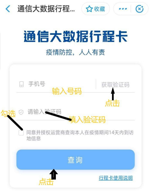 国家政务服务平台怎么查询健康码?国家政务服务平台查询健康码的方法截图