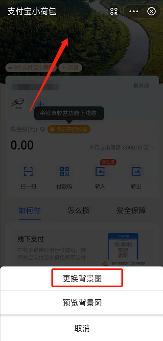支付宝小荷包怎样切换背景图?支付宝小荷包更改背景图方法截图