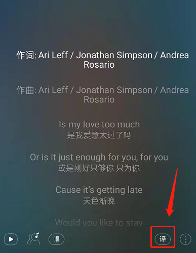 网易云音乐怎么关闭歌词翻译？网易云音乐关闭歌词翻译操作步骤截图