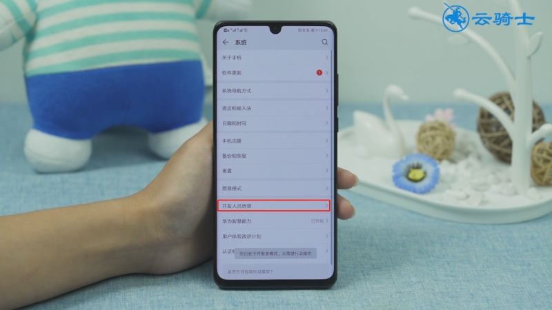 p30开发者选项在哪(5)