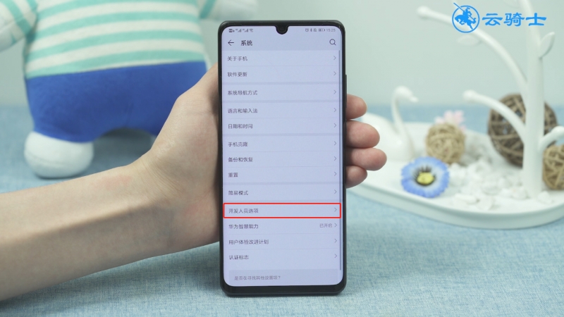 华为p30pro开发者选项在哪(2)