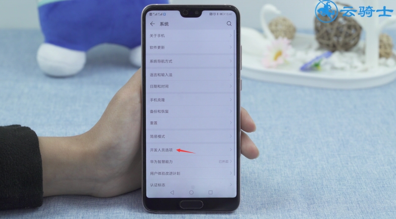 华为p20开发者选项在哪(5)